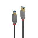 Lindy 5m USB3 A-B Cable AL Computers Lindy, Cables Product image.
