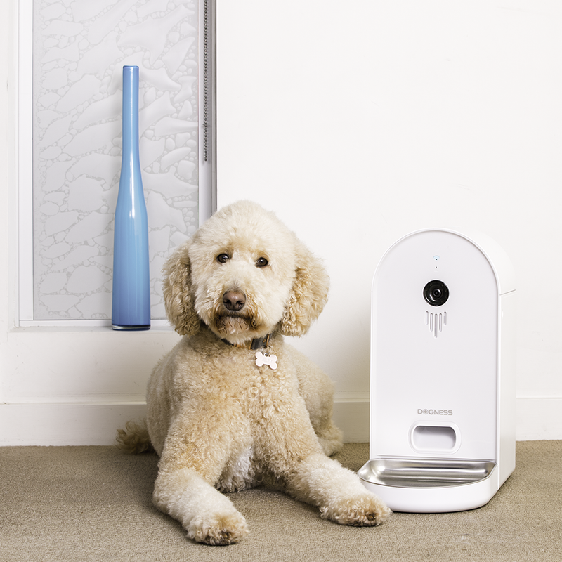 undefined Dogness Auto Dog Feeder with Camera Dogness pet feeder skyhome australia smart home automation.